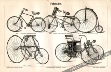 [rycina, 1895] Fahrrader [rowery]